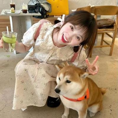 不可思议先生